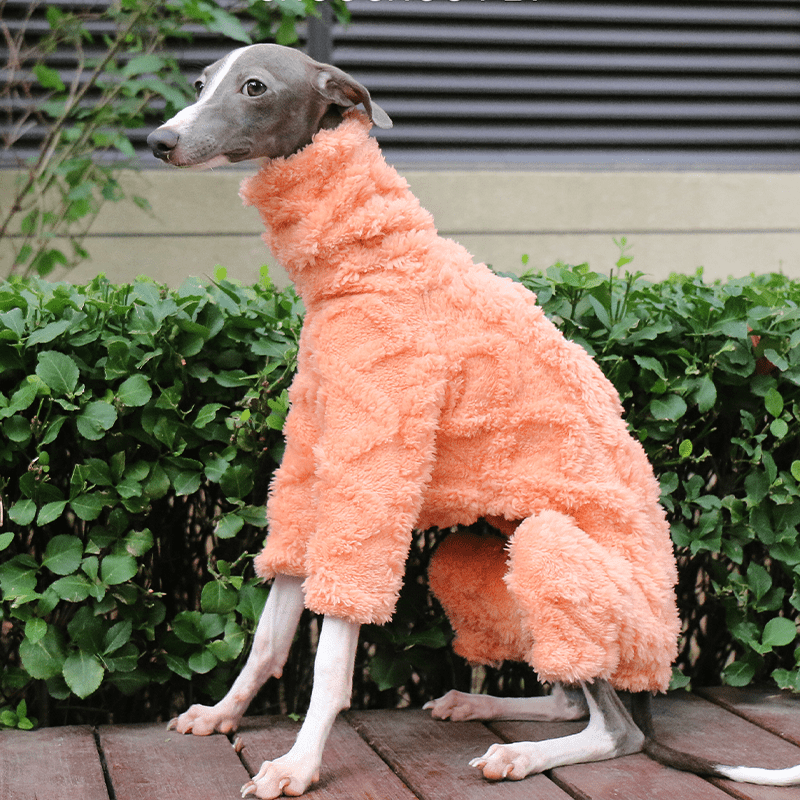IECOii Greyhound Trui - Warme Fleece Rolkraag Jumpsuit Voor Whippet, Lurcher En Saluki - Medium