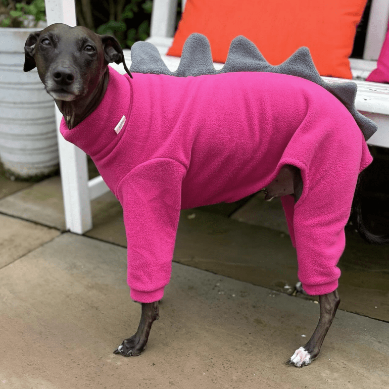 Italian Greyhound Onesies Fleece Dinosaur Thick Whippet Dog Clothes - PIKAPIKA