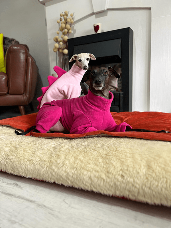 Italian Greyhound Onesies Fleece Dinosaur Thick Whippet Dog Clothes - PIKAPIKA