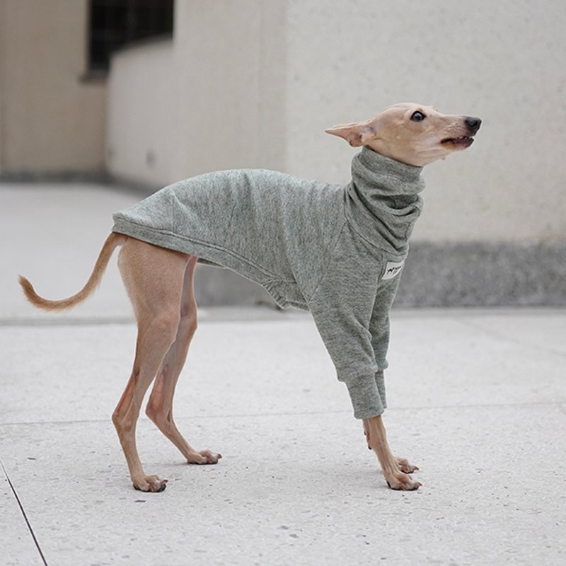 Jersey Shirts for Italian greyhound Whippet Dog Clothes - PIKAPIKA
