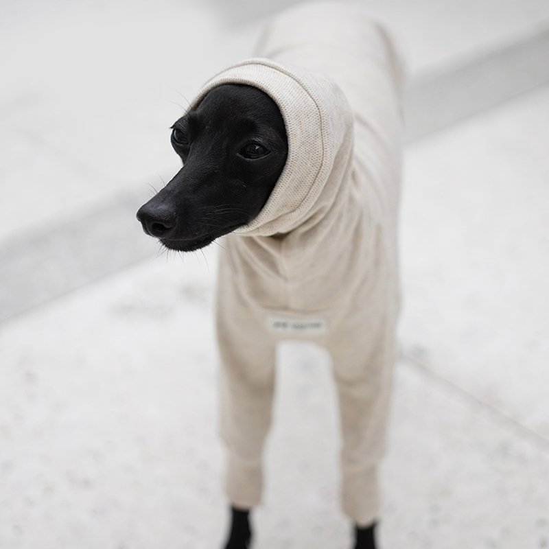 Jersey Shirts for Italian greyhound Whippet Dog Clothes - PIKAPIKA