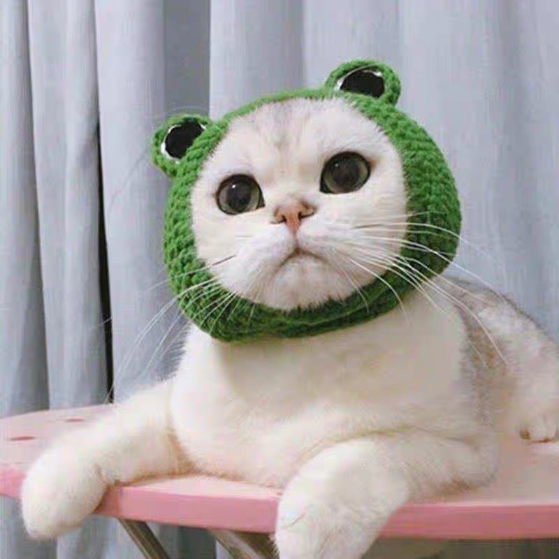 Knitted Frog Shaped Dog & Cat Knit Hat - PIKAPIKA