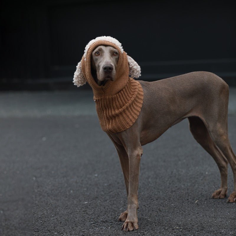 Knitting Warm Freeze-proofing Ear Protection Dog Hat - PIKAPIKA