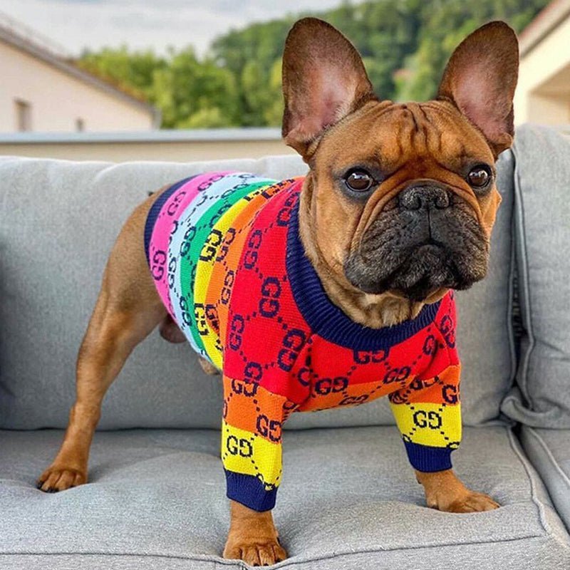 Knitwear Sweater Dog Clothes Rainbow Soft - PIKAPIKA