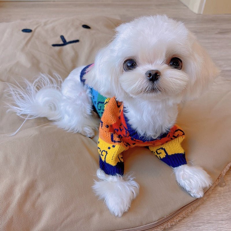Knitwear Sweater Dog Clothes Rainbow Soft - PIKAPIKA