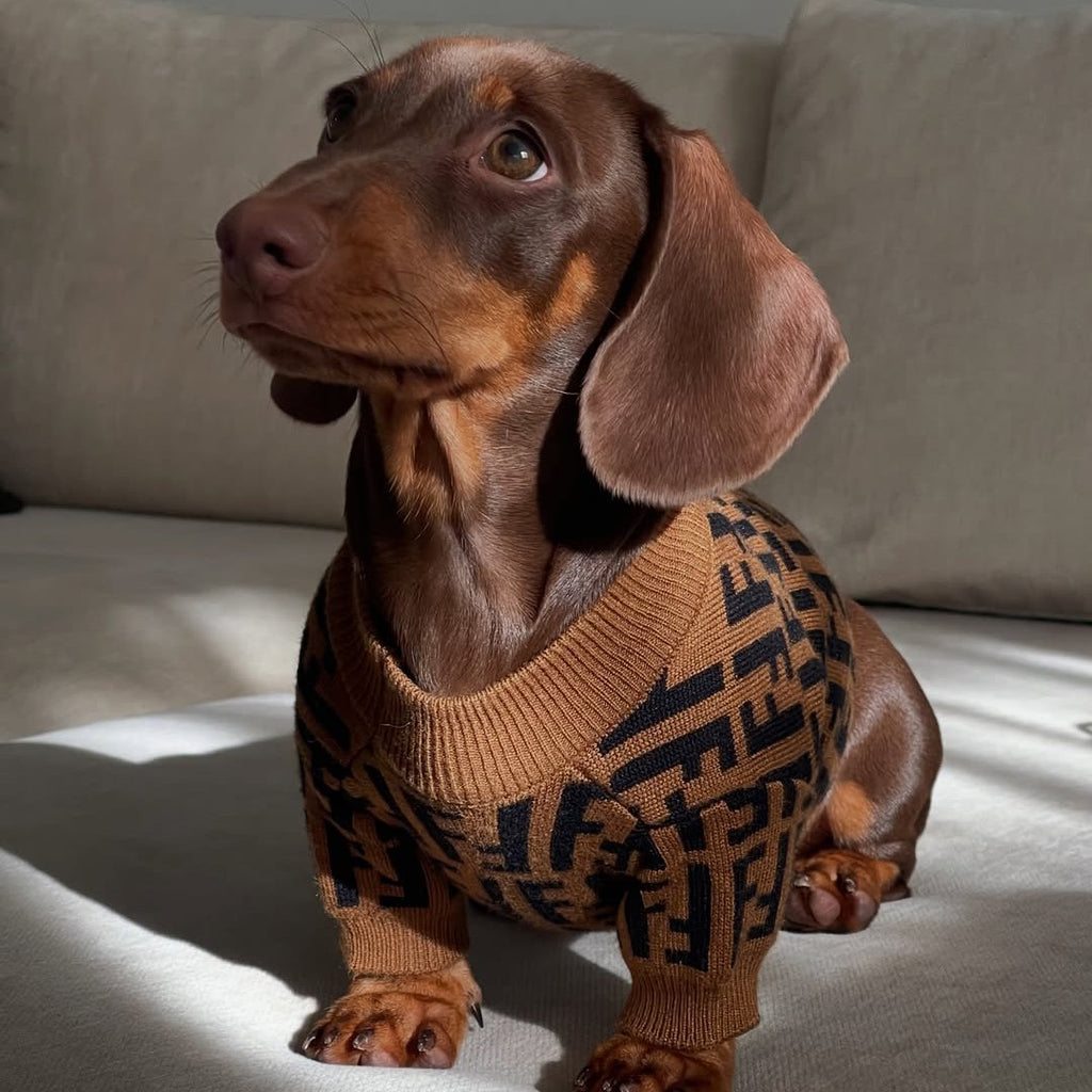 Knitwear Sweater Dog Clothes Soft Luxury Designer Style Brown - PIKAPIKA