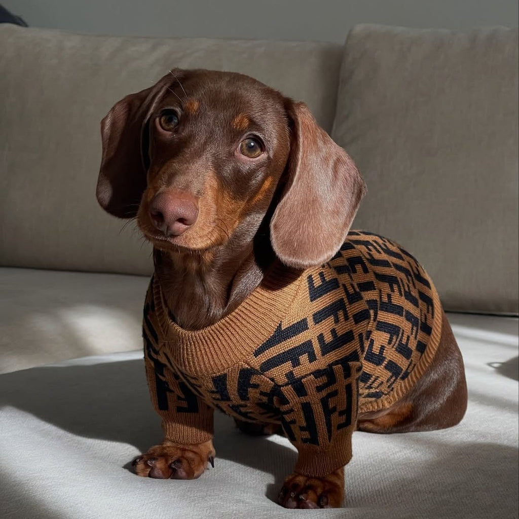 Knitwear Sweater Dog Clothes Soft Luxury Designer Style Brown - PIKAPIKA