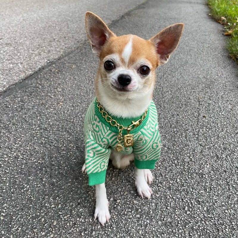 Knitwear Sweater Dog Clothes Soft Vintage Retro Green - PIKAPIKA