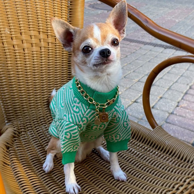 Knitwear Sweater Dog Clothes Soft Vintage Retro Green - PIKAPIKA