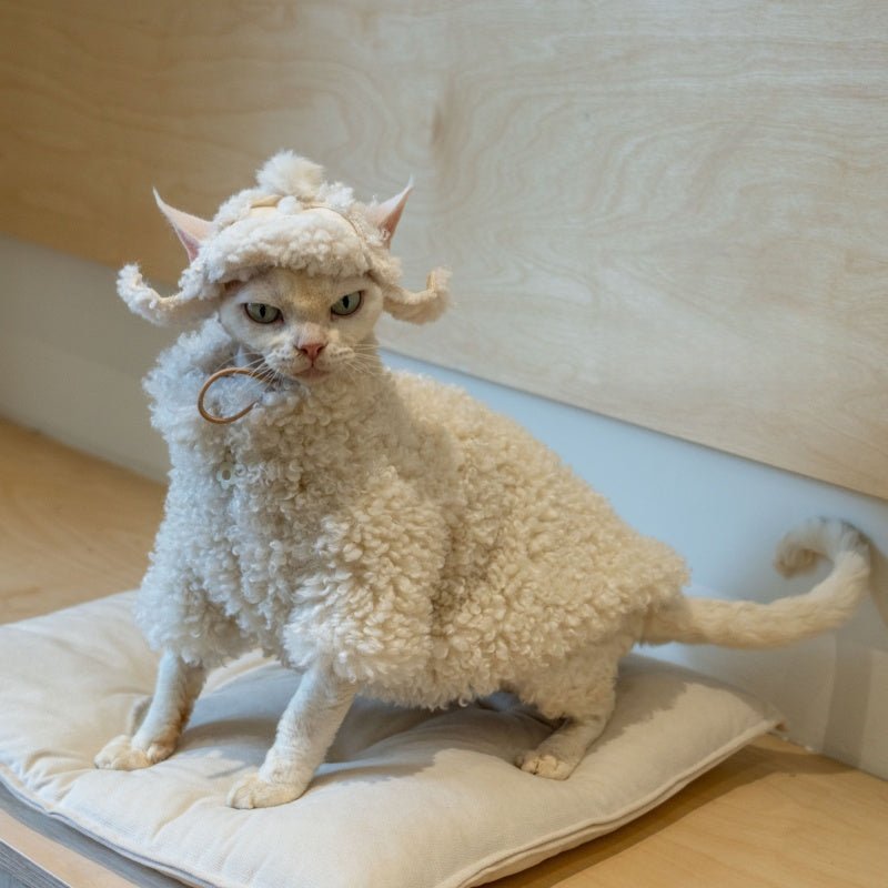 Lamb Fleece Coat Devon Rex Cat Clothes Windproof Outdoor Coat - PIKAPIKA