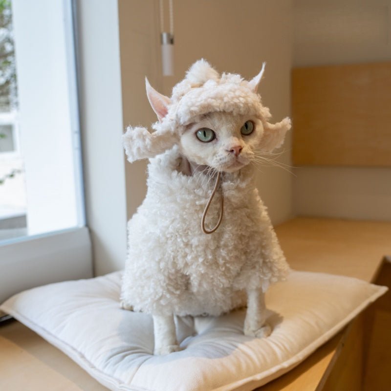 Lamb Fleece Coat Devon Rex Cat Clothes Windproof Outdoor Coat - PIKAPIKA