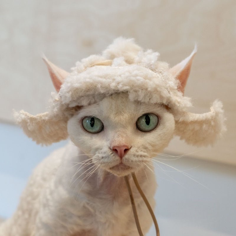 Lamb Fleece Coat Devon Rex Cat Clothes Windproof Outdoor Coat - PIKAPIKA