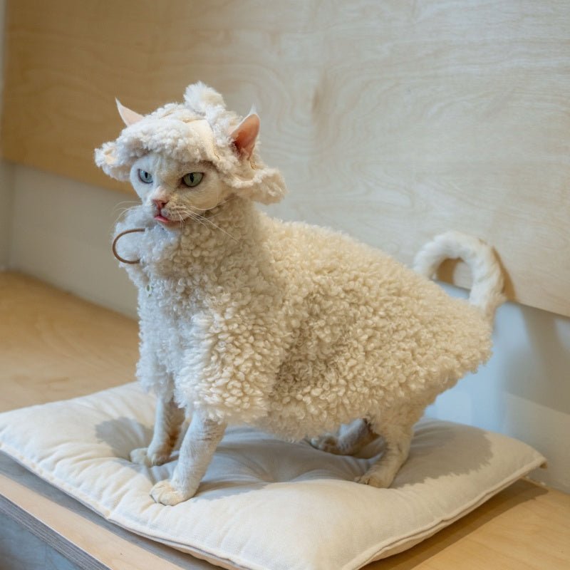Lamb Fleece Coat Devon Rex Cat Clothes Windproof Outdoor Coat - PIKAPIKA