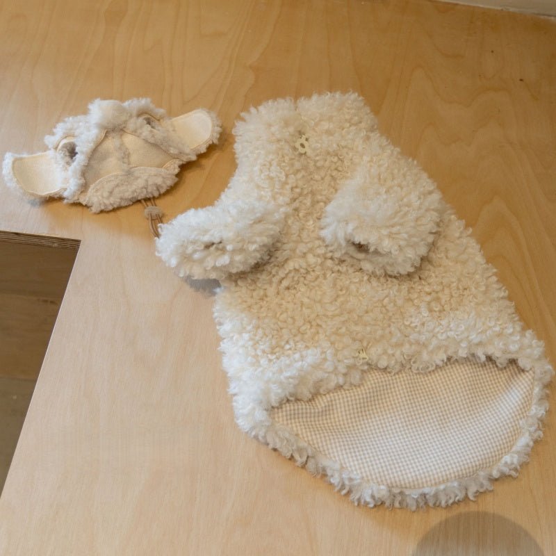 Lamb Fleece Coat Devon Rex Cat Clothes Windproof Outdoor Coat - PIKAPIKA