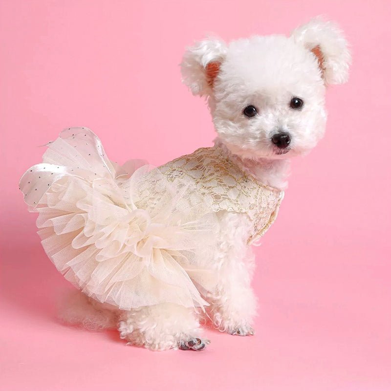 dog princess dress Tweed Lolita Dresses For Small Dogs Dog Princess... From Mecha, Rs.829.05 your dog will look absolutely adorable and fashionable in this outfit elegant dog princess dress with