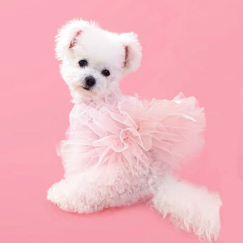 Dog Dresses Dog Dresses