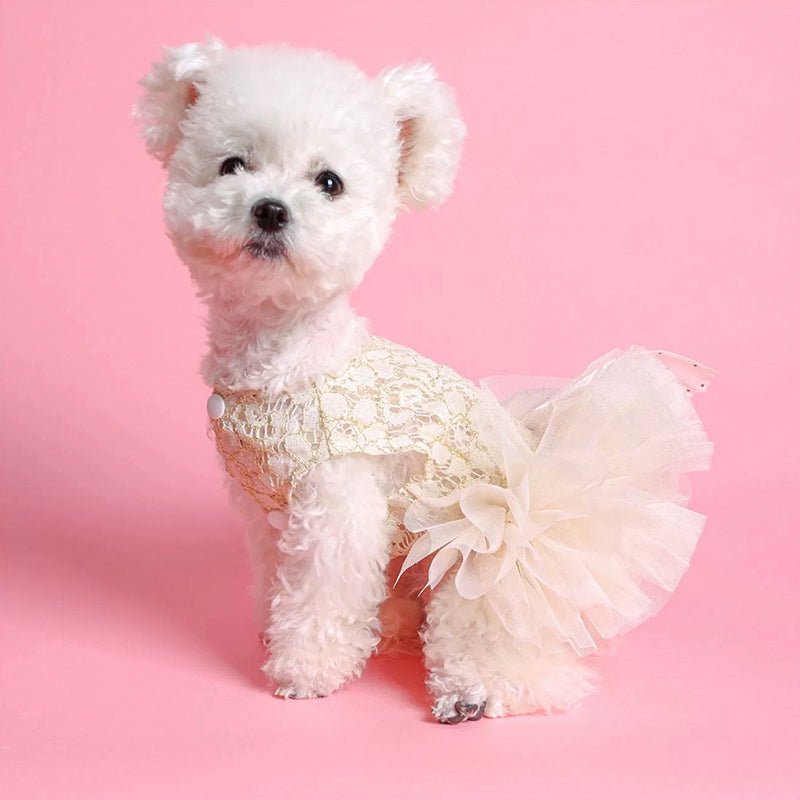 Layered Cake Puppy Dog Princess Dress Dog Clothes - PIKAPIKA