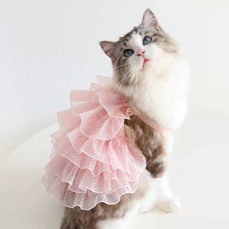 Cat Dresses Cat Dresses