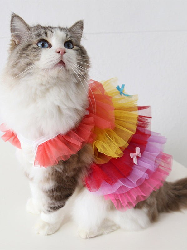 Layered Lace Dress Cat Clothes - PIKAPIKA