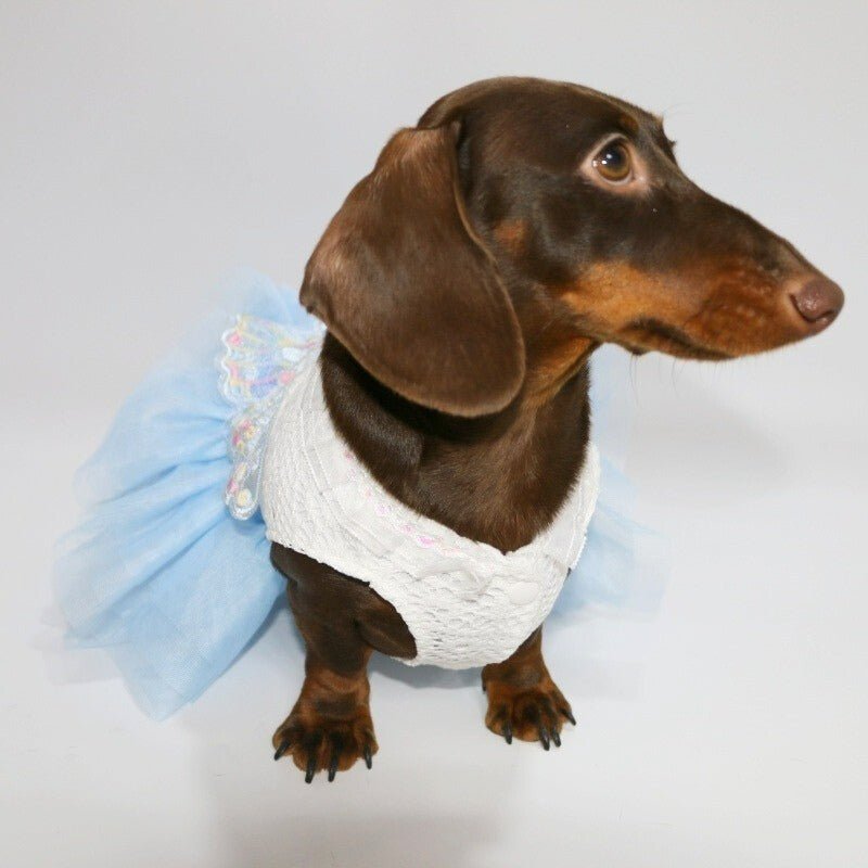 Layered Lace Dress Dachshund Dog Butterfly Clothes