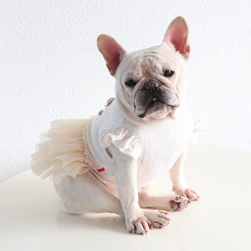 Layered Lace Princess Dog Dress Dog Clothes Layered Lace Princess Dog Dress Dog Clothes
