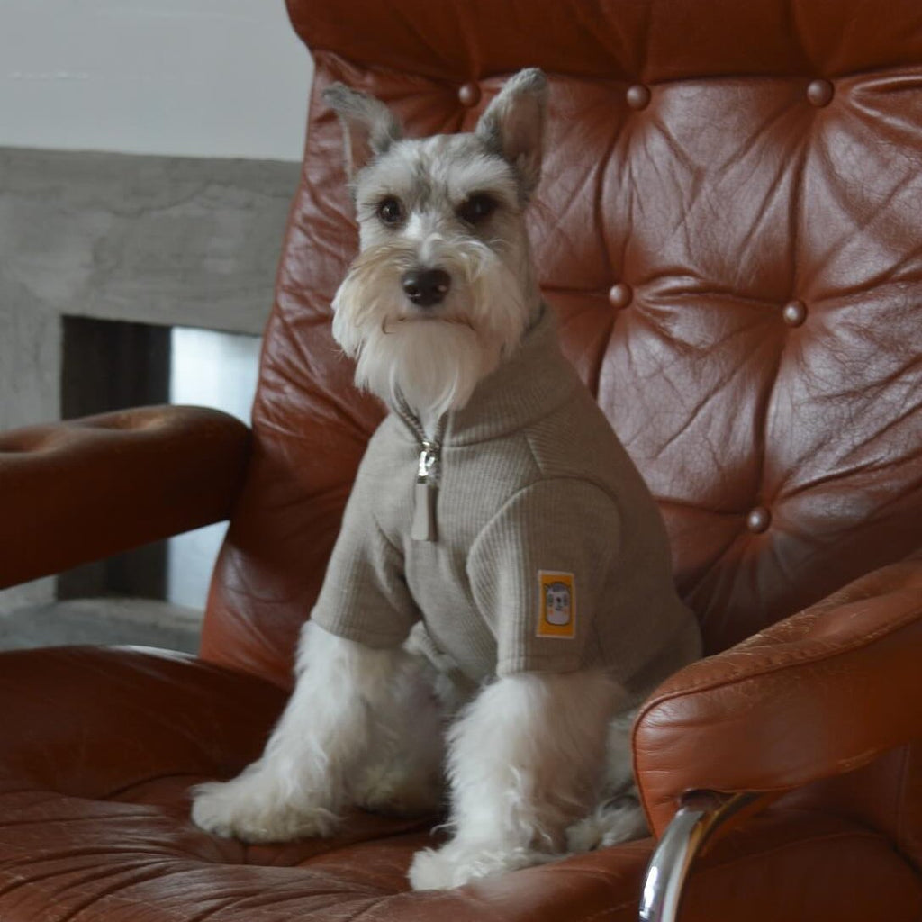 Leather Zip Vest Soft Jacket Fleece Onesies for Schnauzer Bichon Teddy - PIKAPIKA
