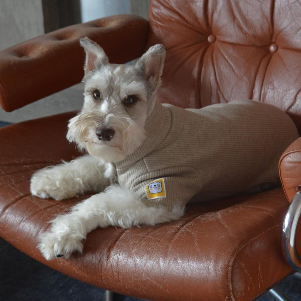 Leather Zip Vest Soft Jacket Fleece Onesies for Schnauzer Bichon Teddy - PIKAPIKA