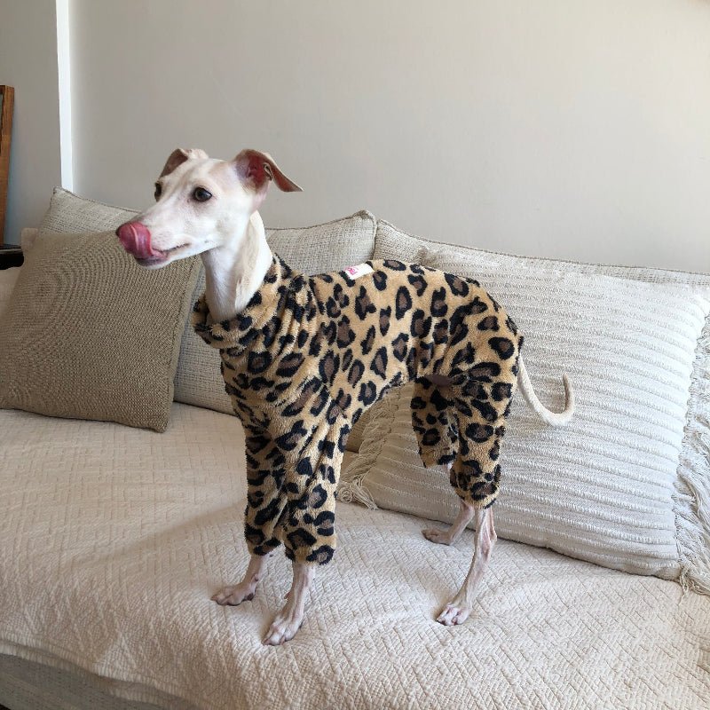犬服・アクセサリー TiTiTi /and Charlie/STARBOXx/ peak/ leopard-print-lightweight-
