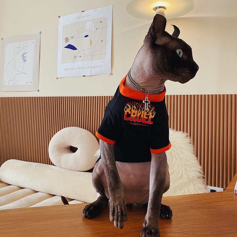 Letter Print T-Shirt Sphynx Cat Clothes - PIKAPIKA