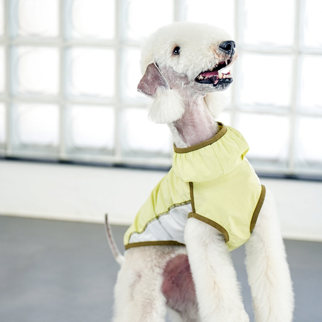 Lightweight Cooling Shirt UPF50+ Summer Wear for Dogs - PIKAPIKA