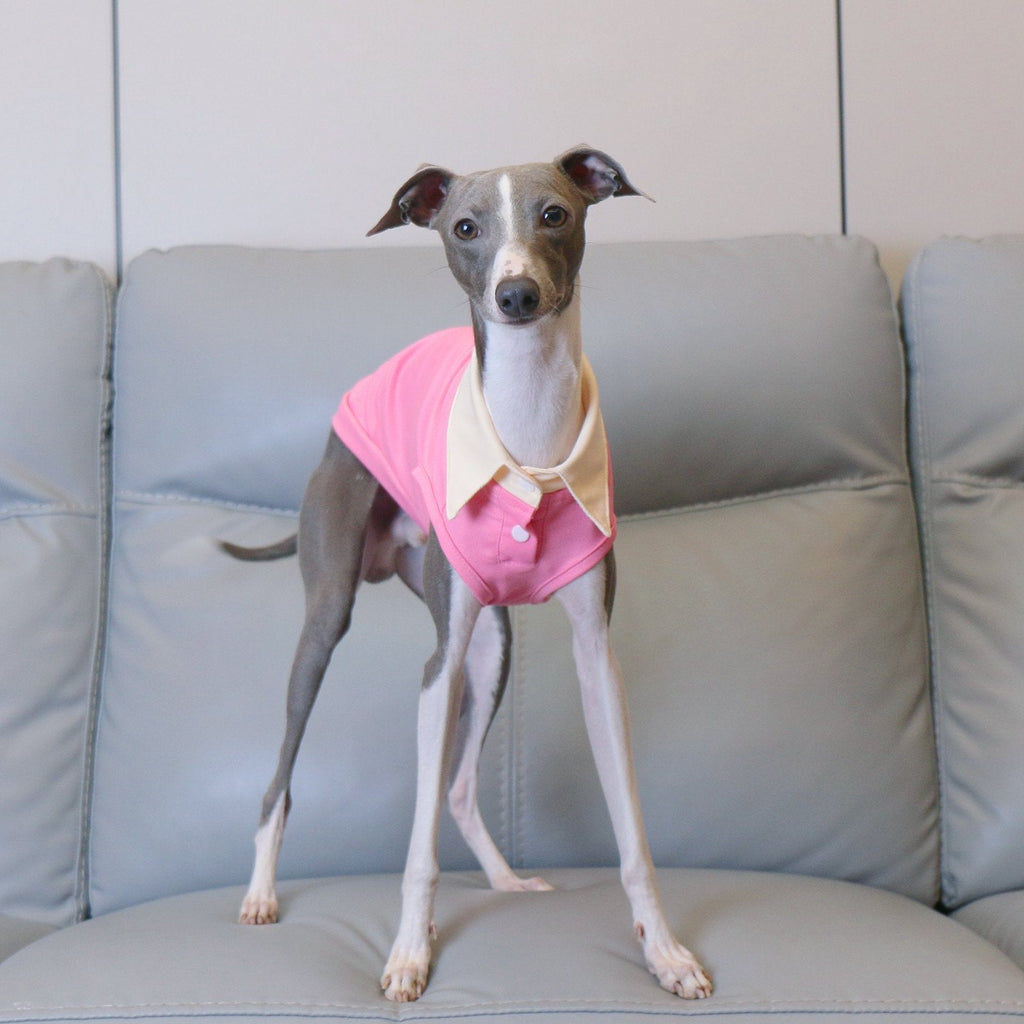 Lightweight Polo Shirt Pink Summer Wear for Sighthound Breeds - PIKAPIKA