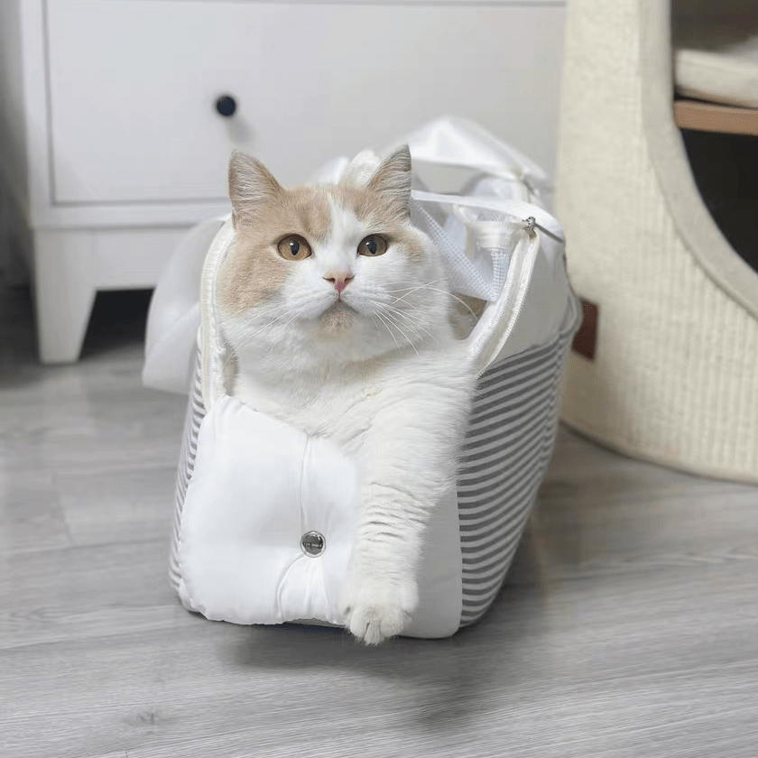 Lightweight & Portable Shoulder Tote for Cats - PIKAPIKA