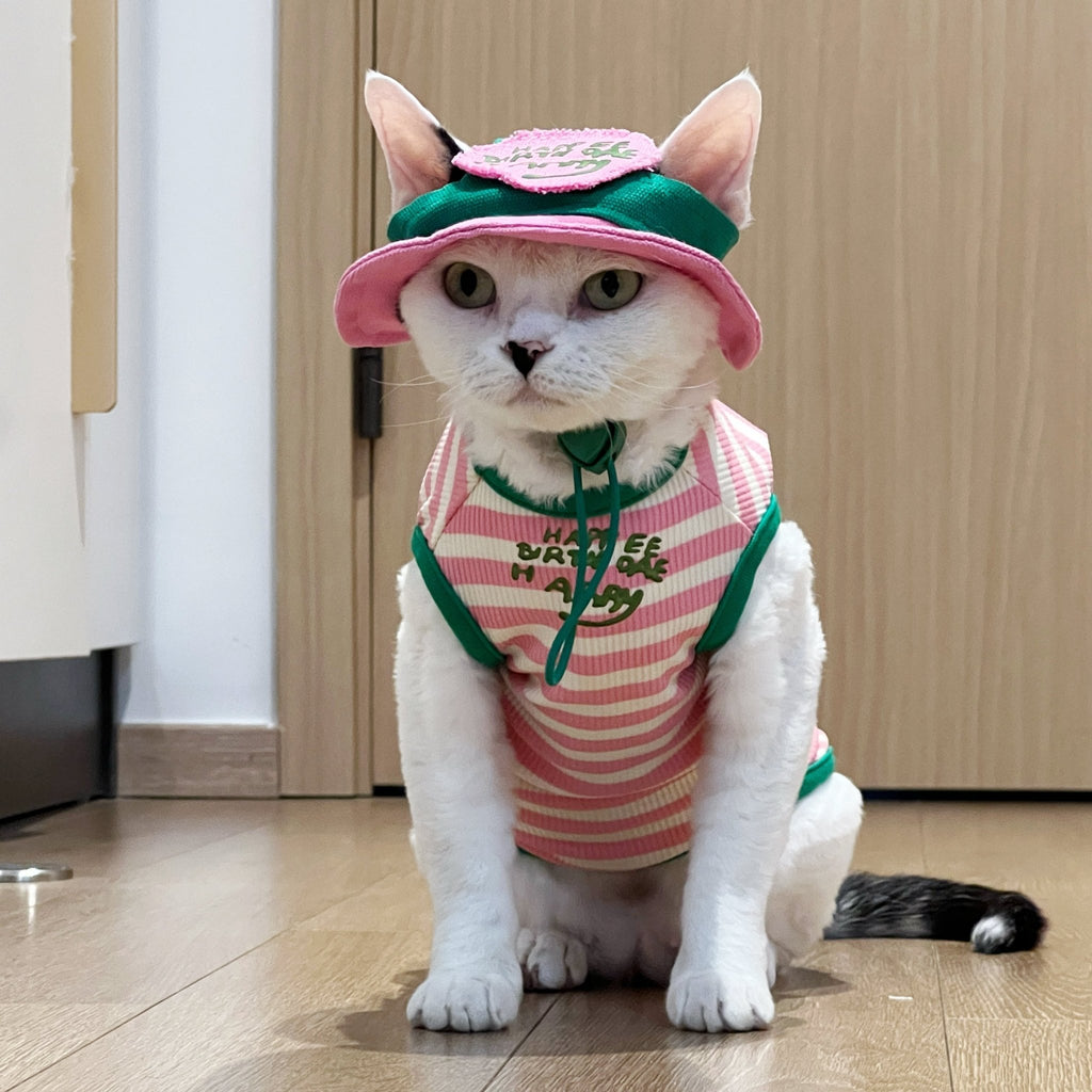 Lightweight Summer Striped Vest for Sphynx Cats - PIKAPIKA