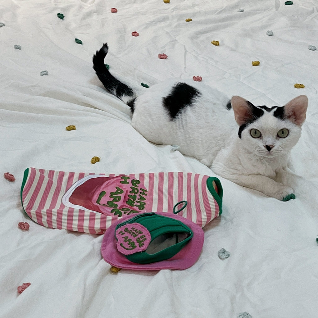Lightweight Summer Striped Vest for Sphynx Cats - PIKAPIKA