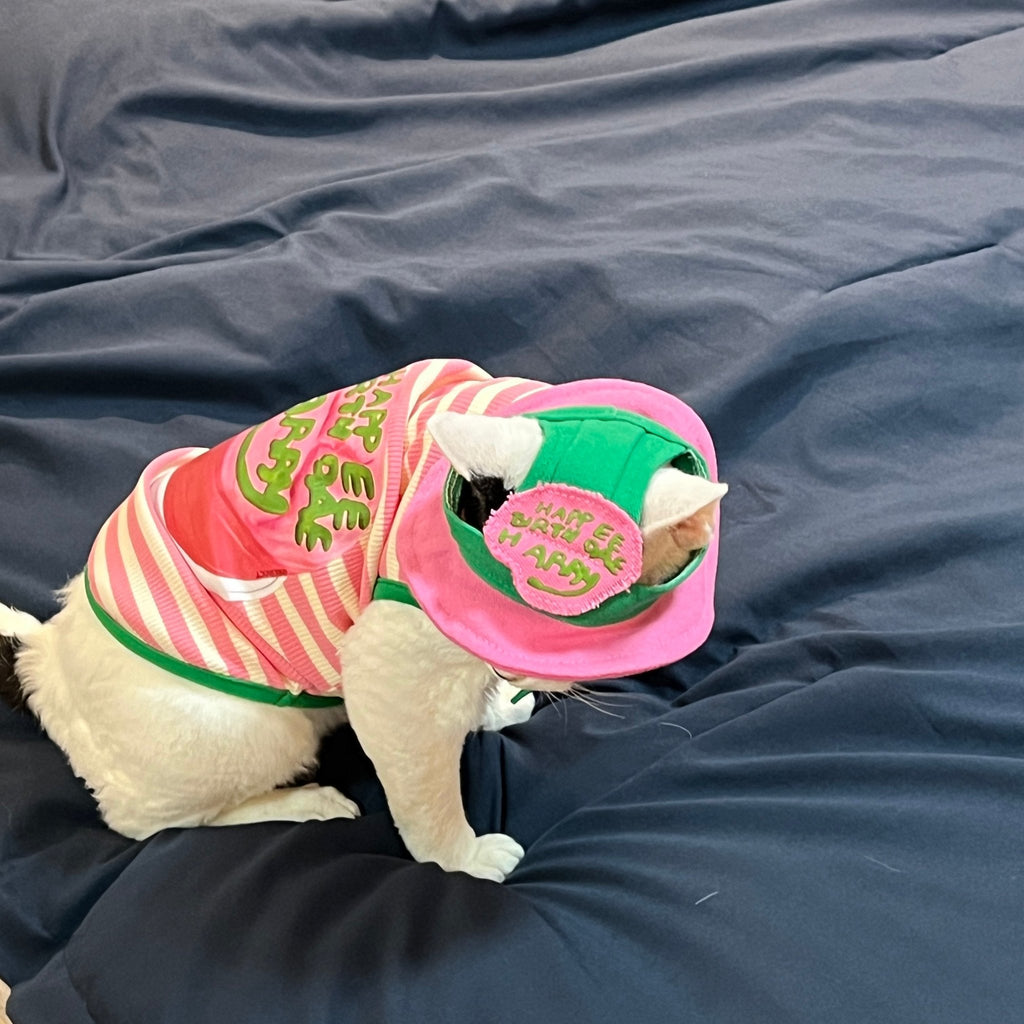 Lightweight Summer Striped Vest for Sphynx Cats - PIKAPIKA