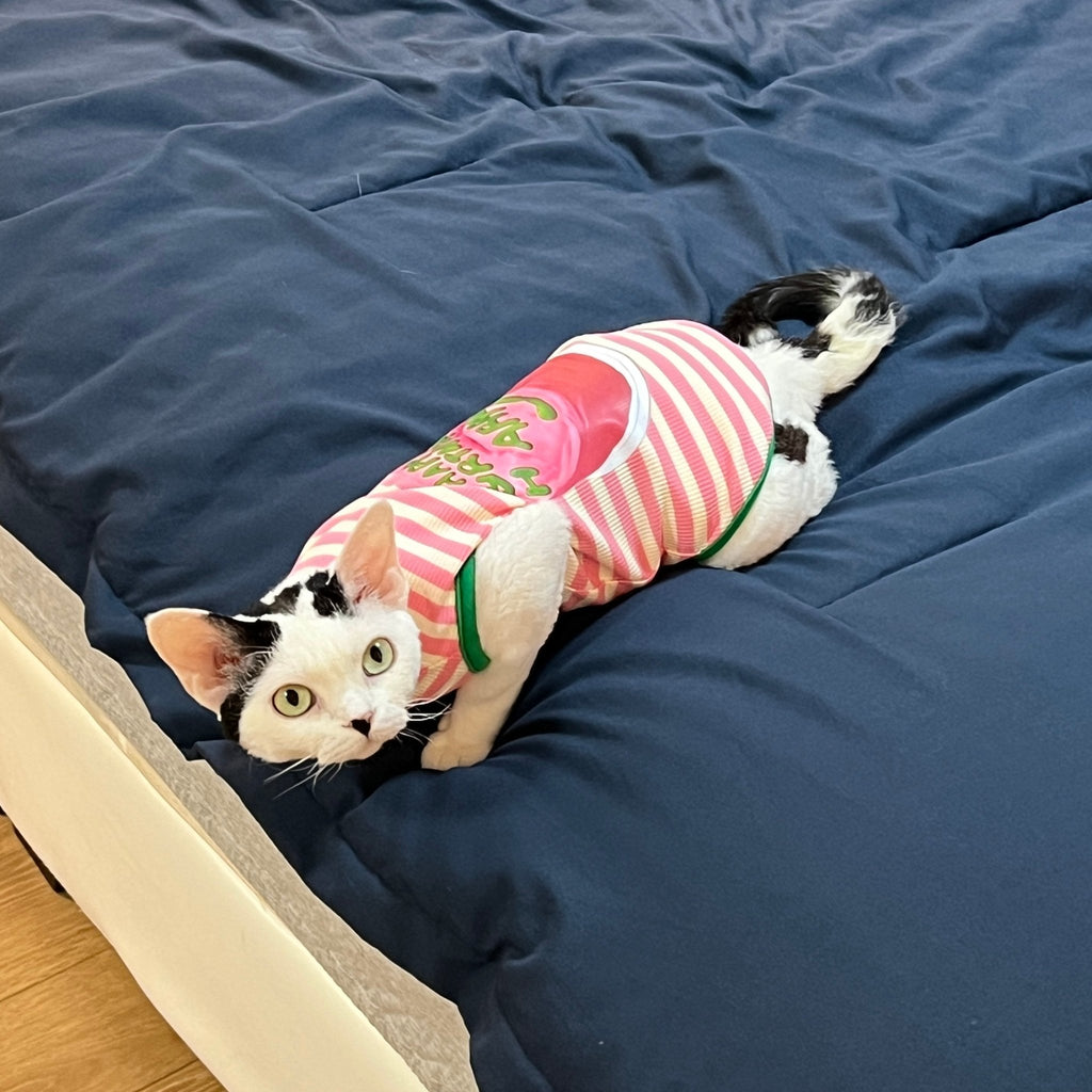 Lightweight Summer Striped Vest for Sphynx Cats - PIKAPIKA