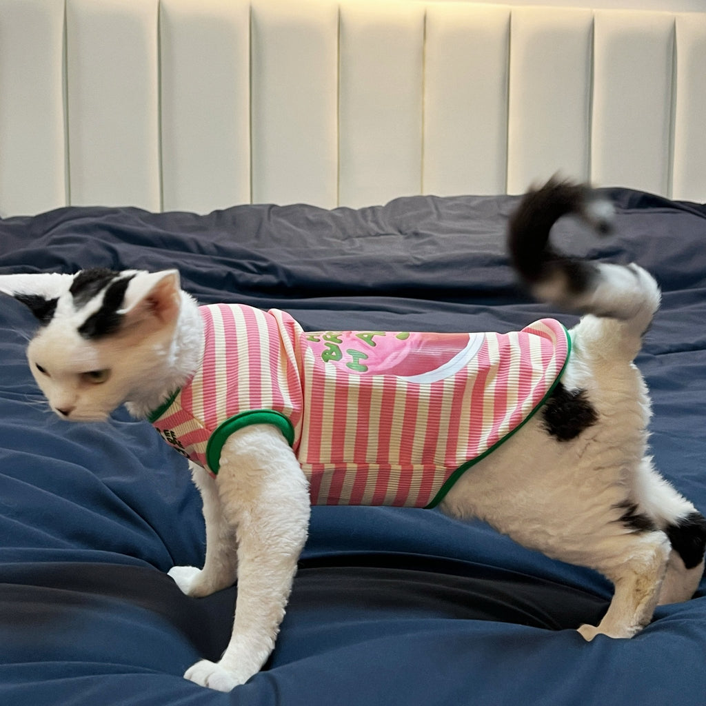 Lightweight Summer Striped Vest for Sphynx Cats - PIKAPIKA