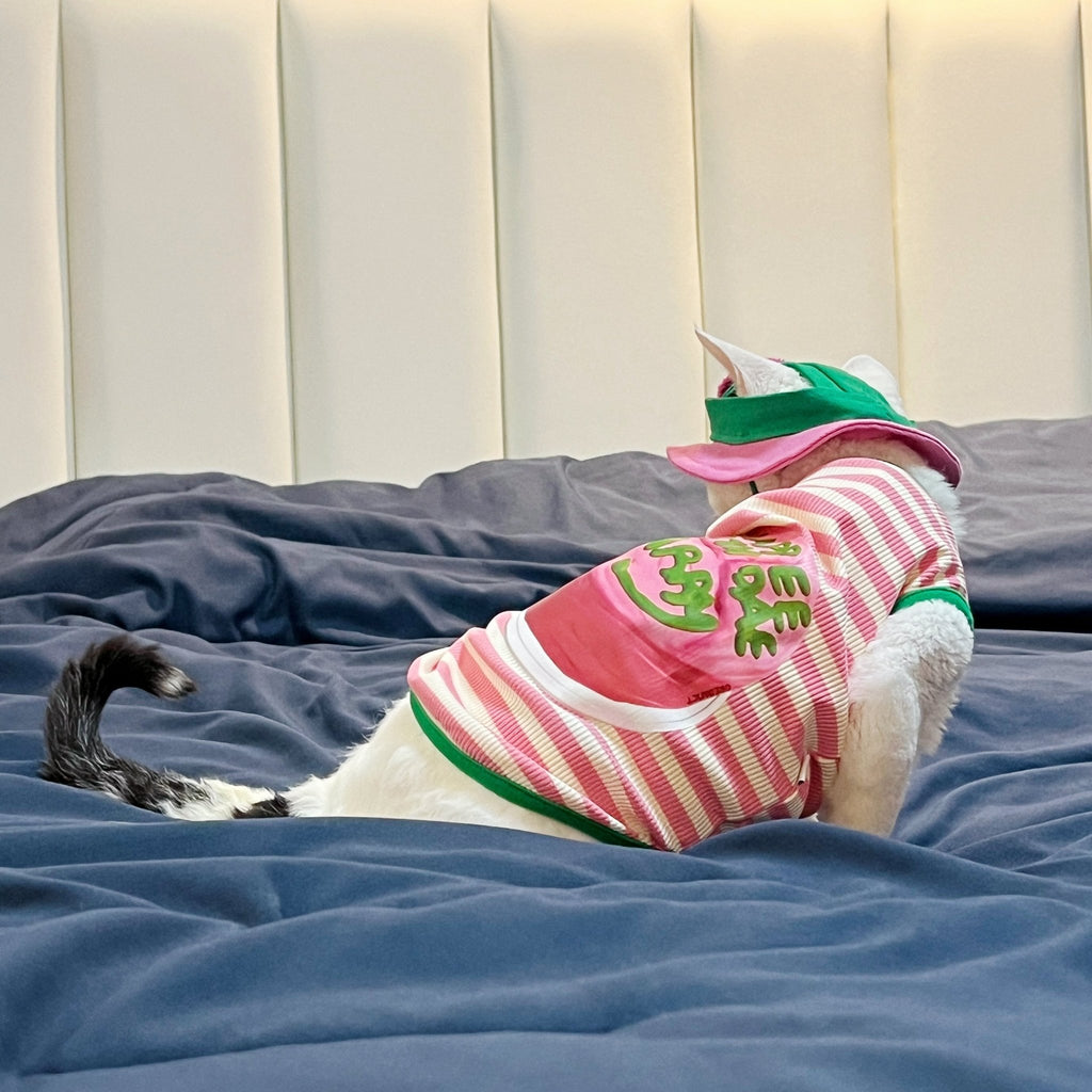 Lightweight Summer Striped Vest for Sphynx Cats - PIKAPIKA