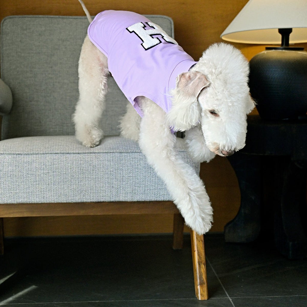 Lightweight Summer Vest Sleeveless Bedlington Terrier - PIKAPIKA