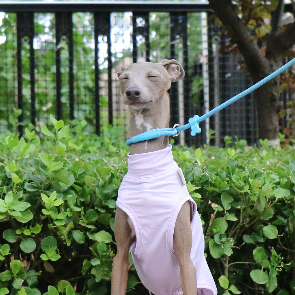 Lightweight UV Vest Purple Cooling Wear for Sighthounds - PIKAPIKA