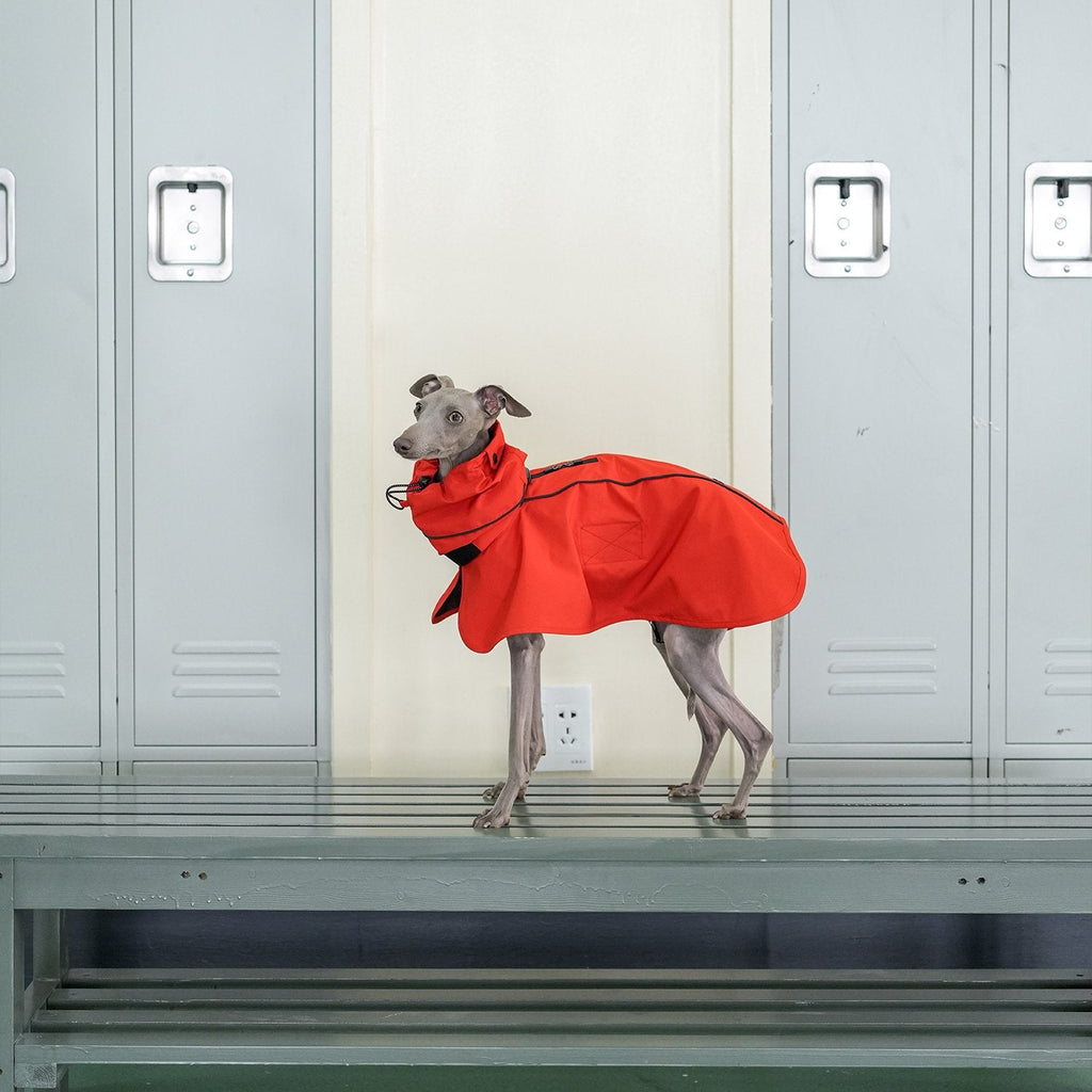 Lightweight Water - Repellent Cape Raincoat - PIKAPIKA