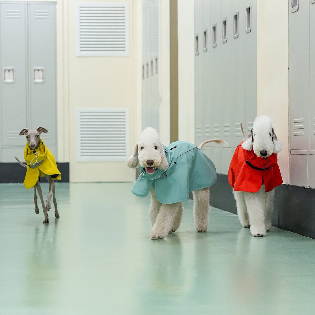 Lightweight Water - Repellent Cape Raincoat - PIKAPIKA