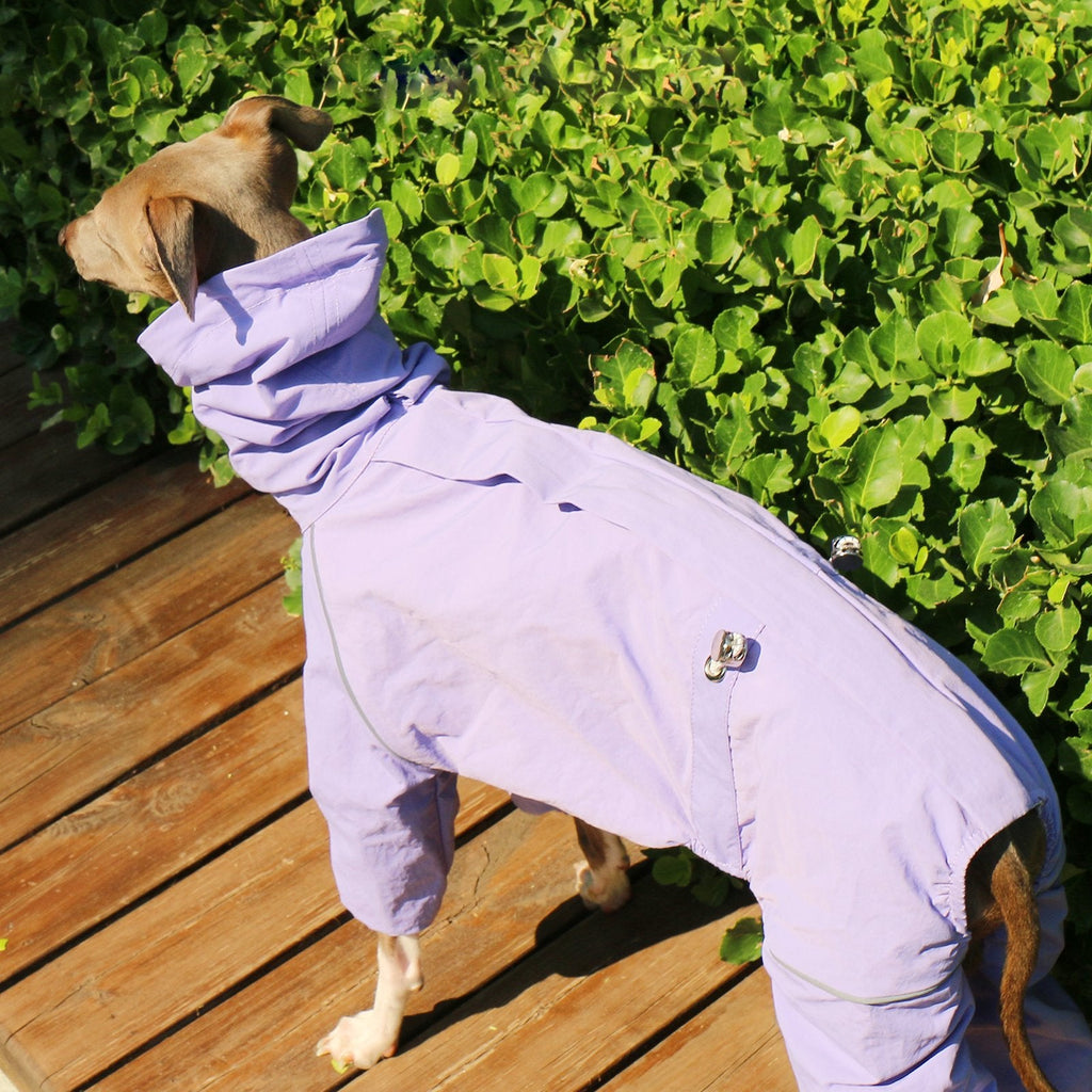 Lightweight Waterproof Jacket Highneck Zip Raincoat for Sighthound Breeds - PIKAPIKA