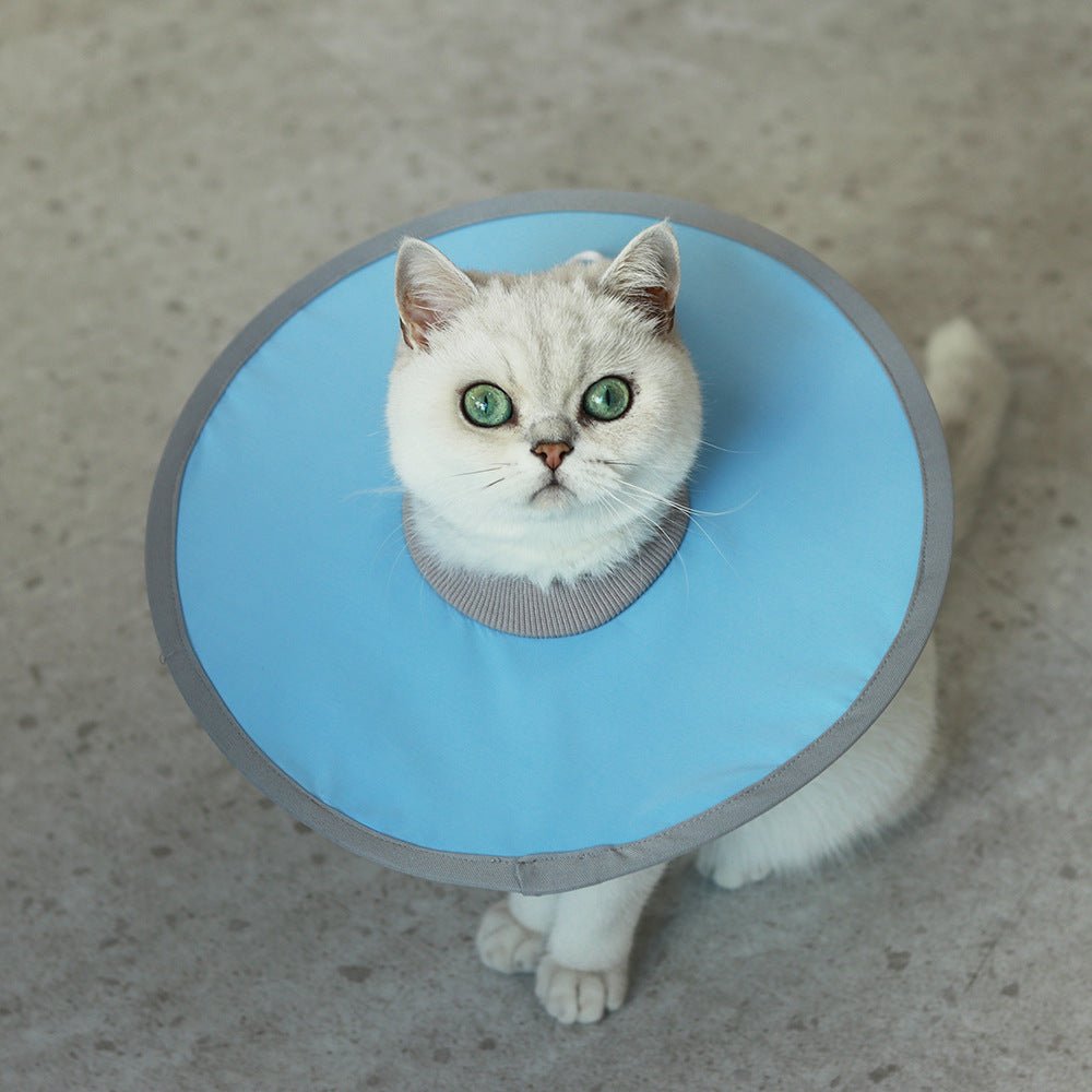 Lightweight Waterproof Pet Recovery Collar - PIKAPIKA