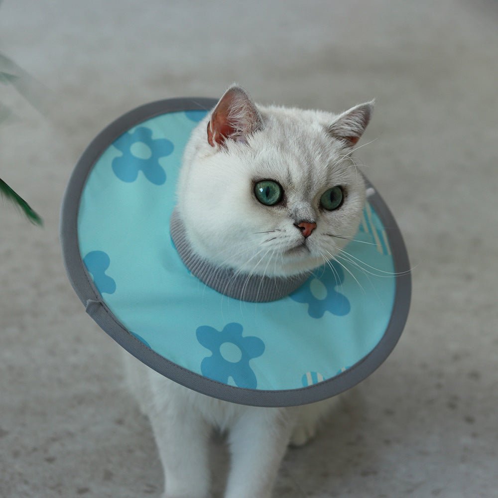 Lightweight Waterproof Pet Recovery Collar - PIKAPIKA