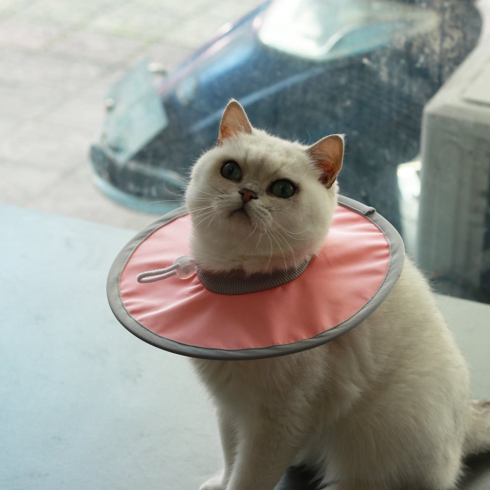 Lightweight Waterproof Pet Recovery Collar - PIKAPIKA