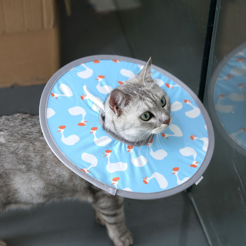 Lightweight Waterproof Pet Recovery Collar - PIKAPIKA