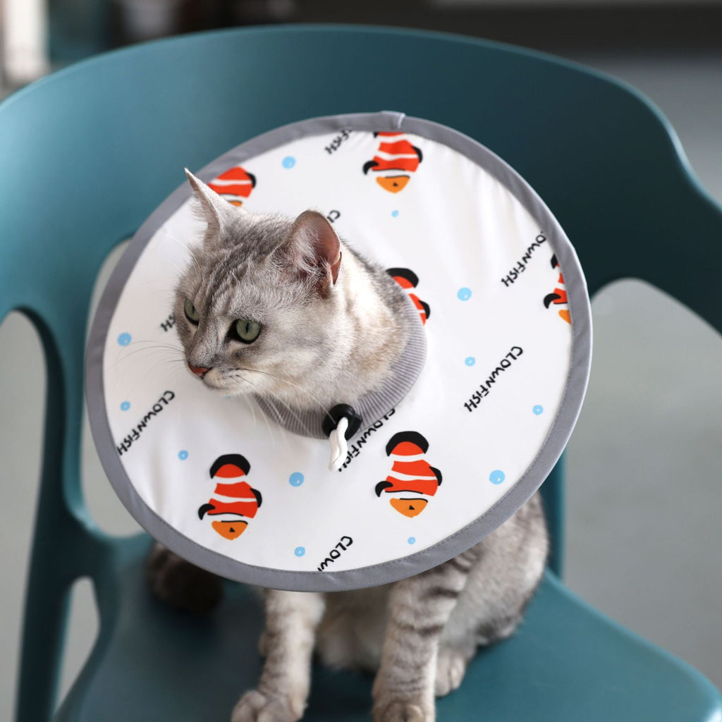 Lightweight Waterproof Pet Recovery Collar - PIKAPIKA