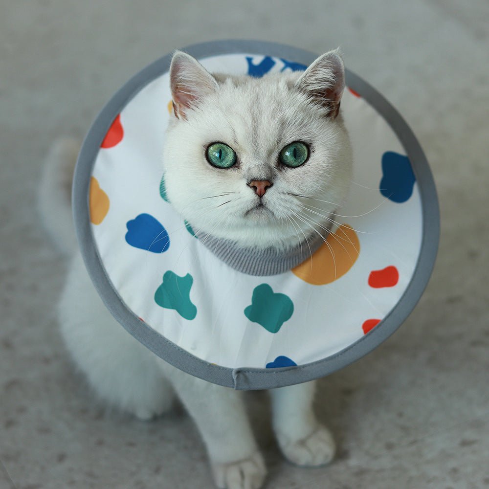Lightweight Waterproof Pet Recovery Collar - PIKAPIKA