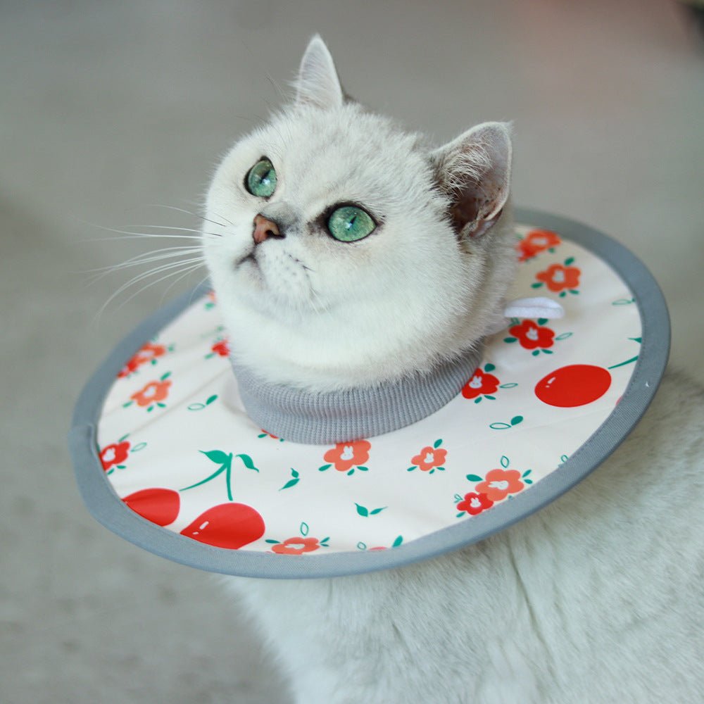 Lightweight Waterproof Pet Recovery Collar - PIKAPIKA